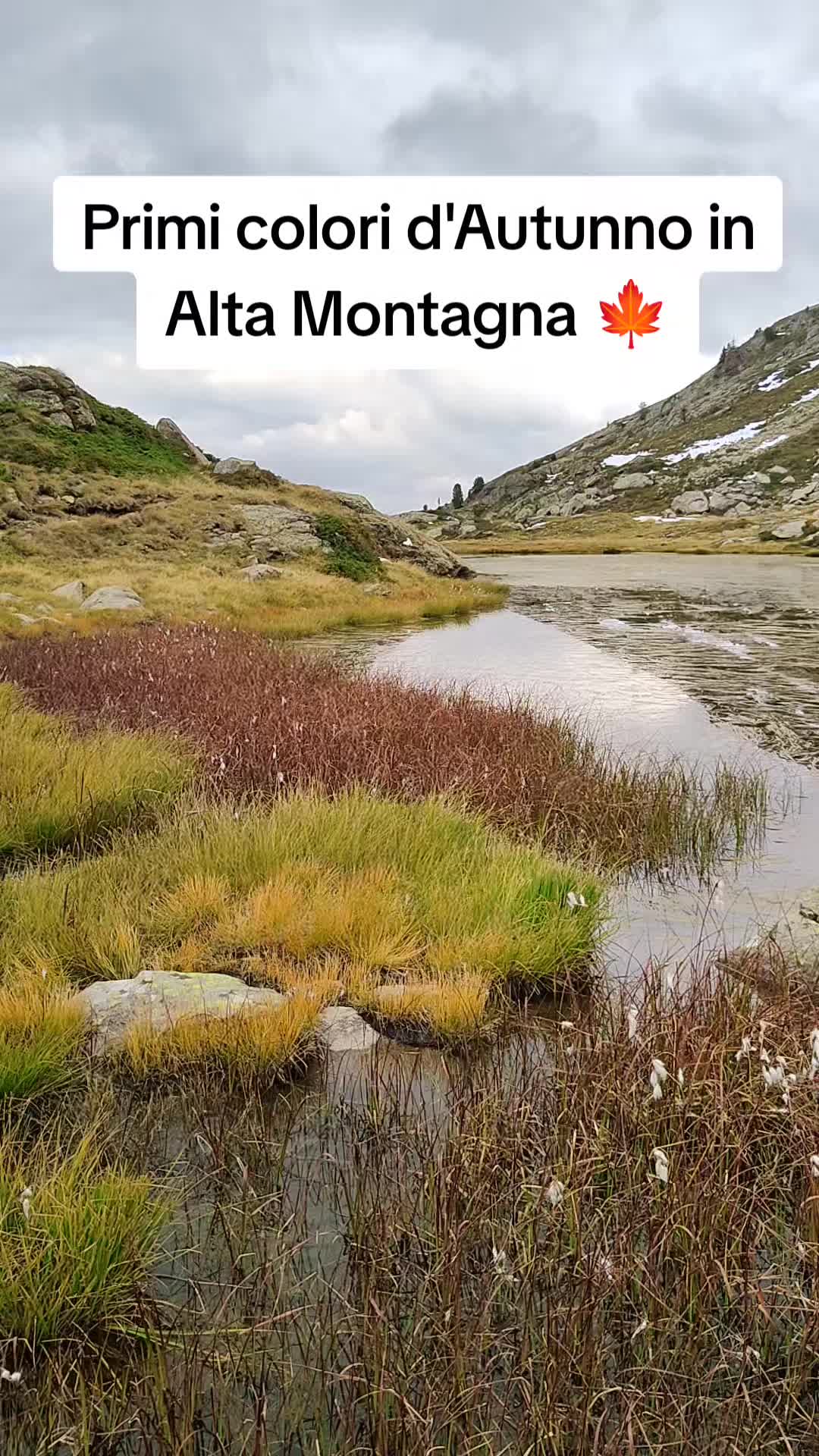 @Montagna Estate