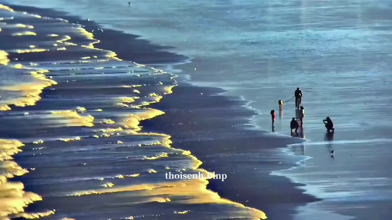 @hoa anh đào nở vào trời đông.