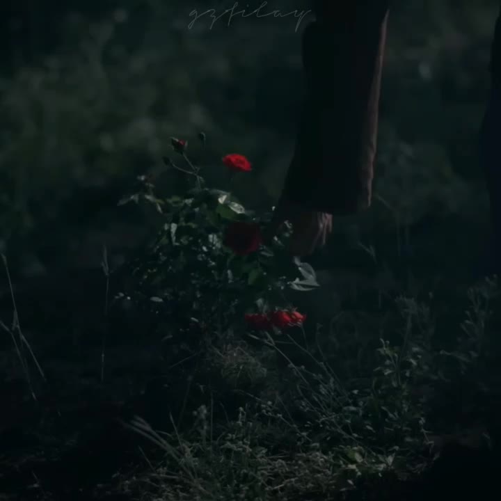 @gzfilay