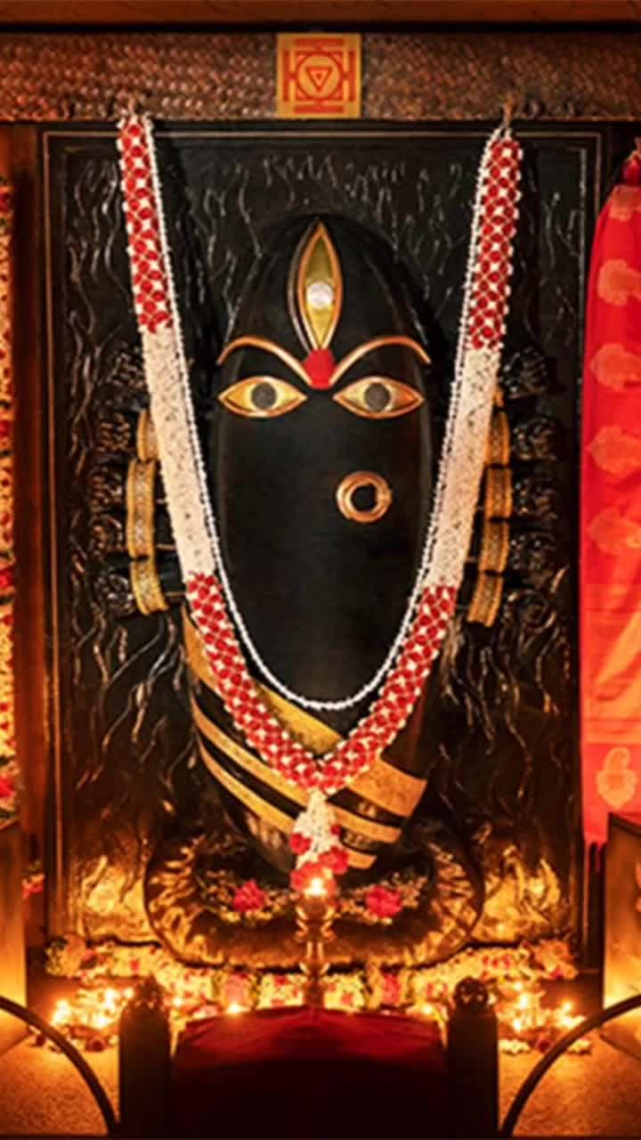 @raj creation