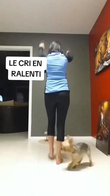 @DAILYVIDS