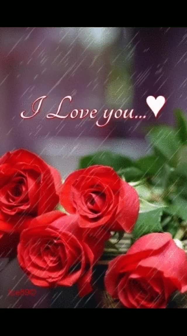 @Mubashir Ali