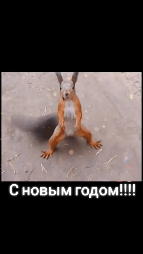 @Tusia