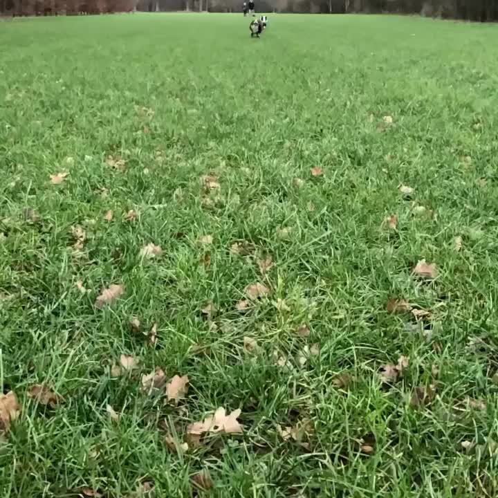 @Sina Weitkamp