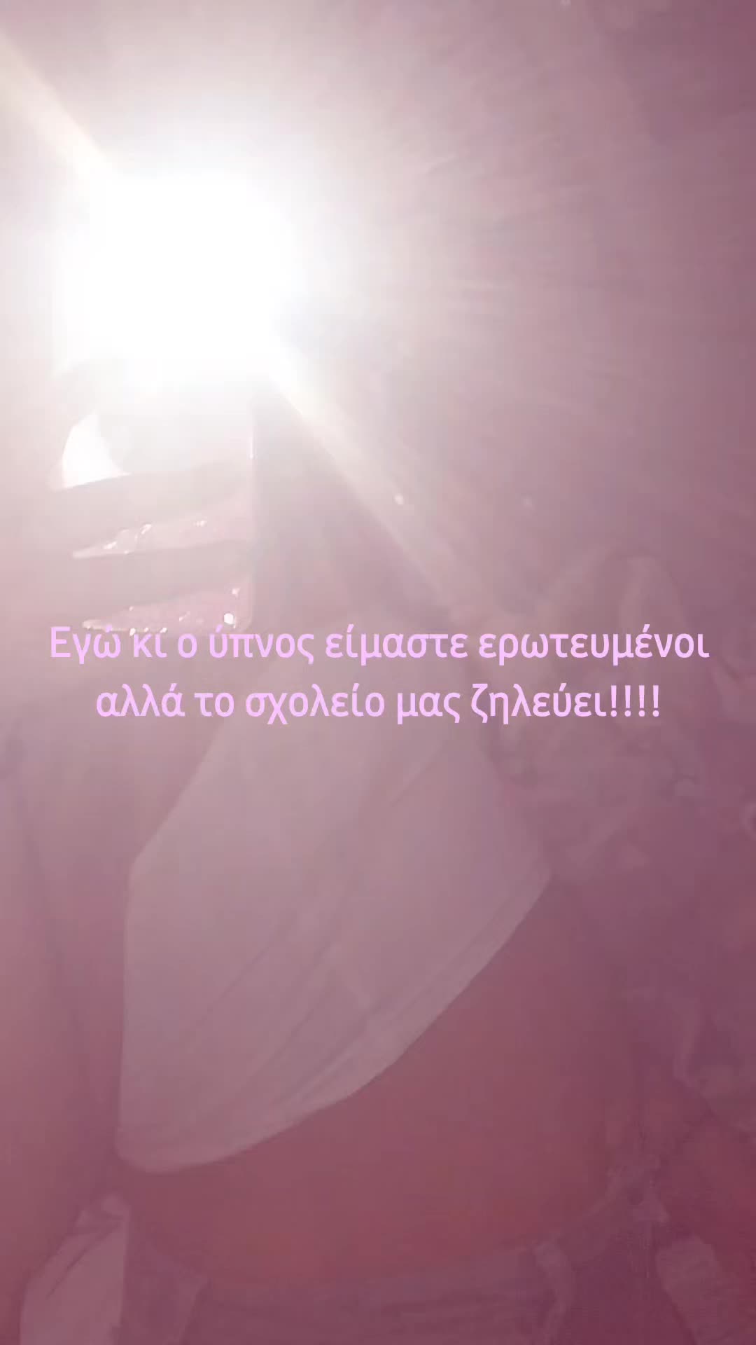 @.🦇