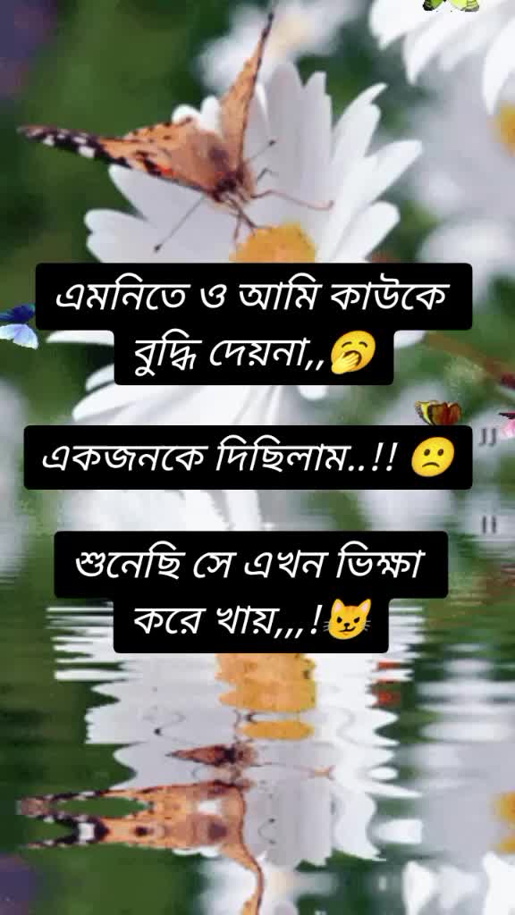 @🦋তোমাগো তিড়িং বিড়িং আফা🦋