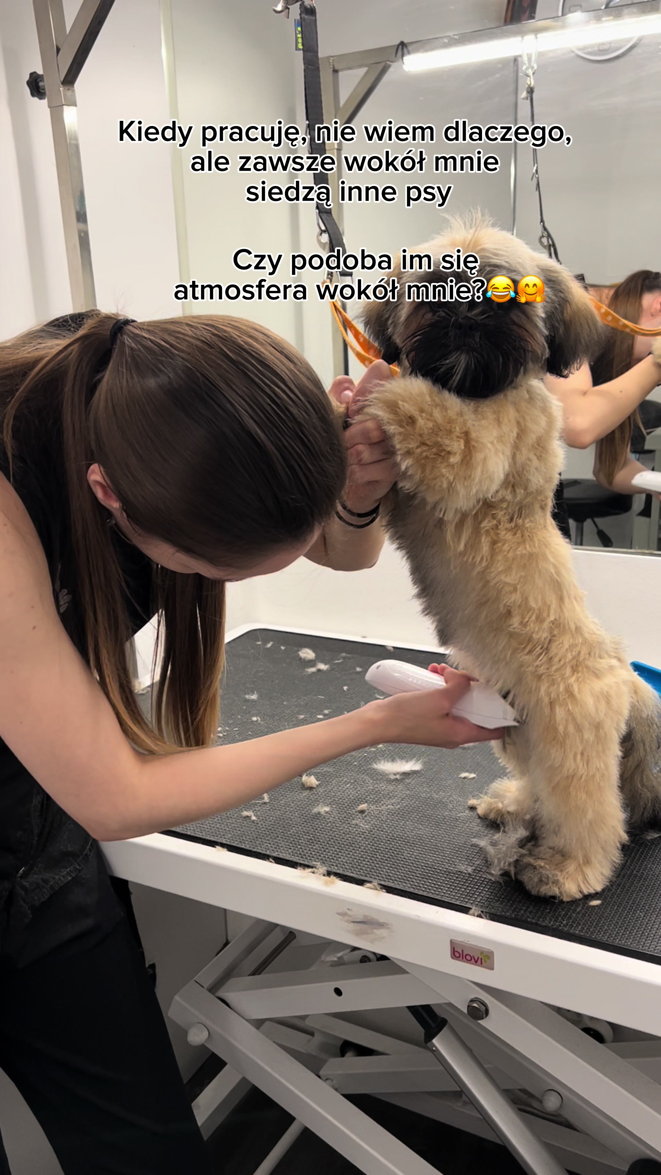 @PetStylist_Teti