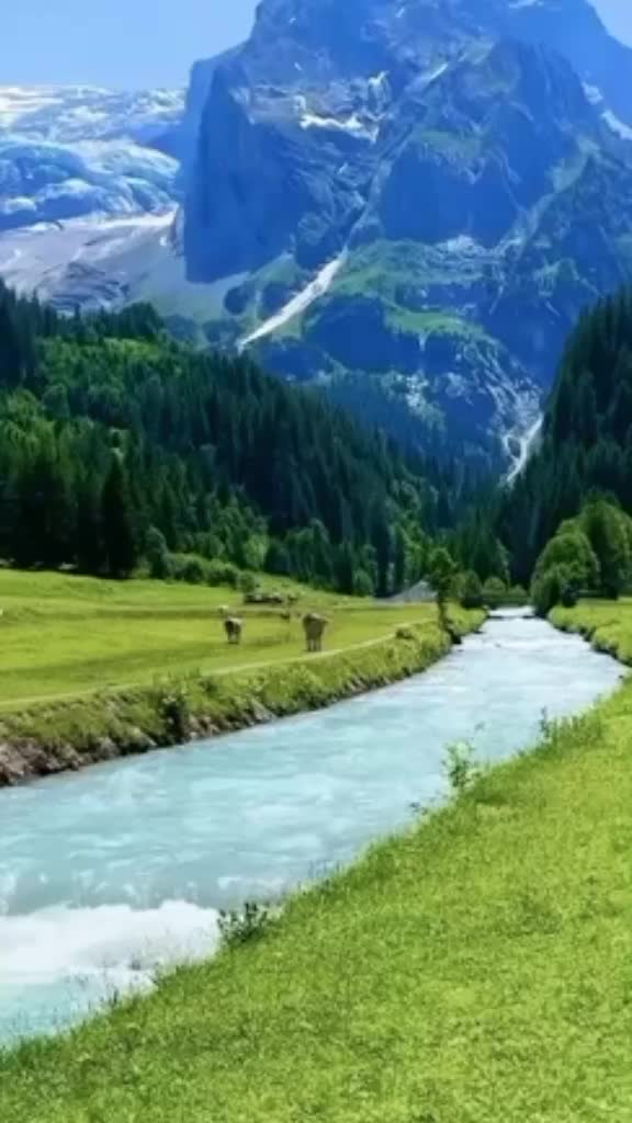 @bishnu
