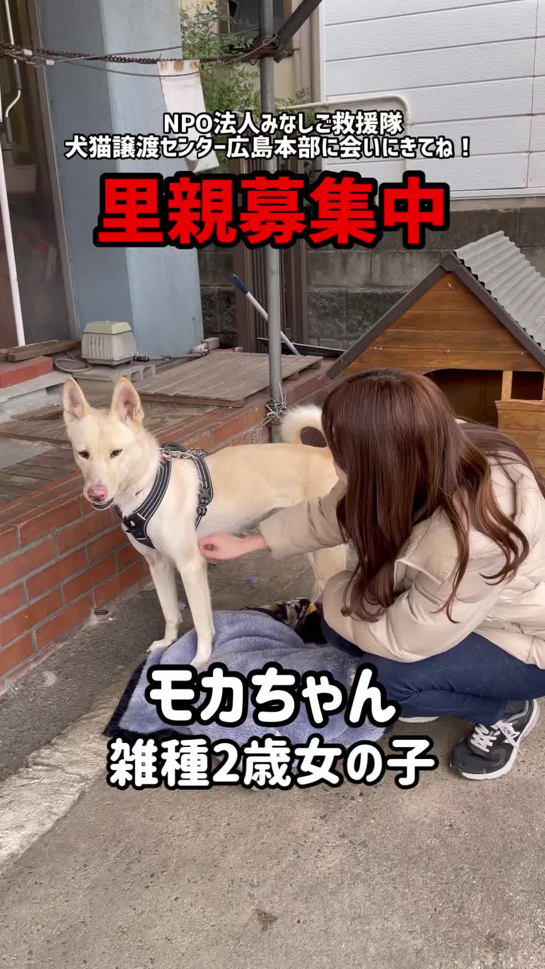 @みゆといぬ。
