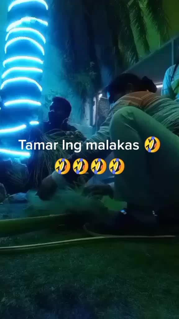 @my cutyfie75