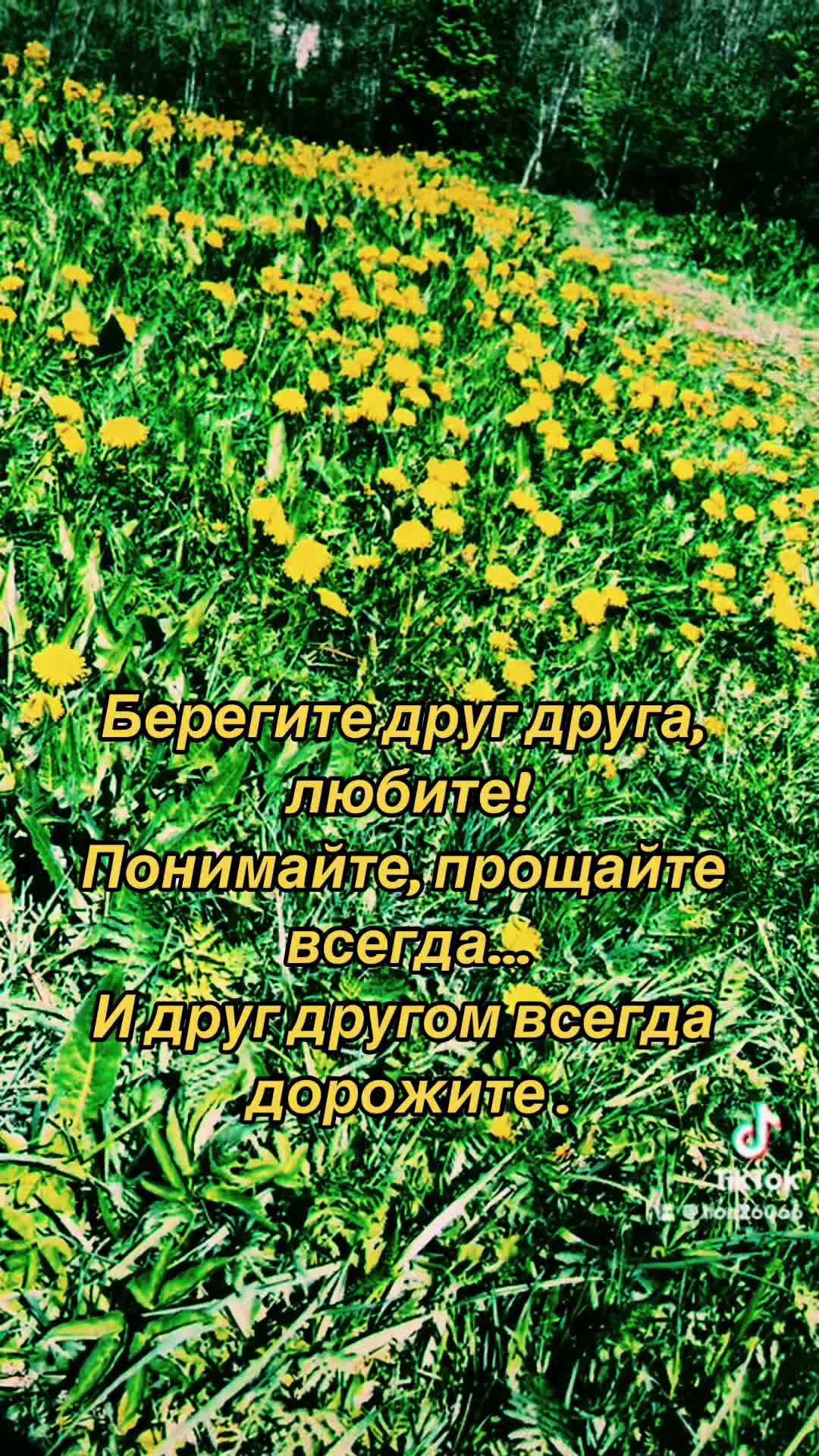 @Гордый Волк 🇫🇷🇪🇪