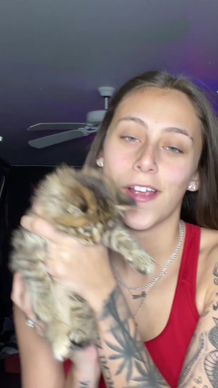 @Maccattacck01