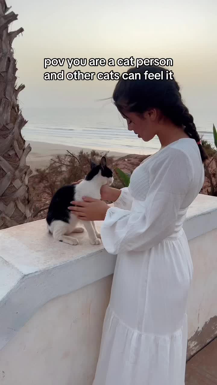 @Sihamsanad