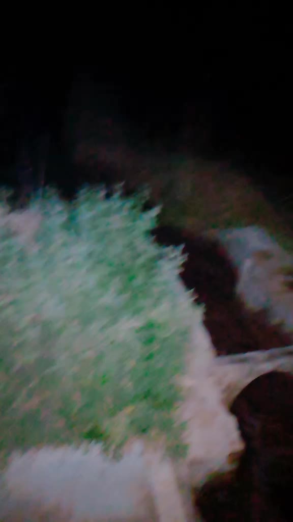 @user7305401578749
