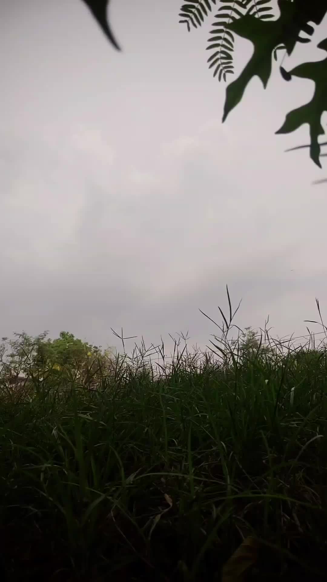 @๐ฉ๐ถ๐๐ถ๐๐โ