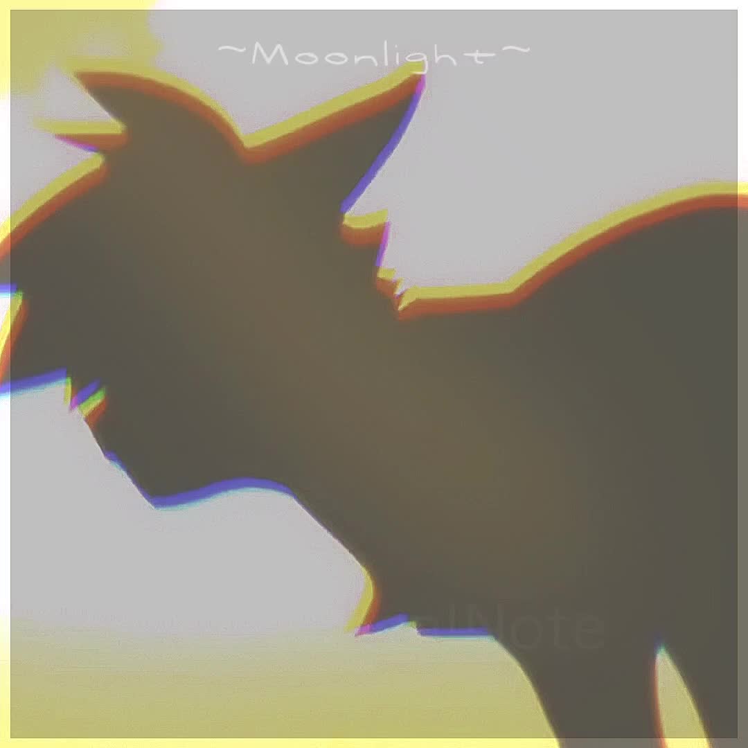 @~☆Moonlight☆~