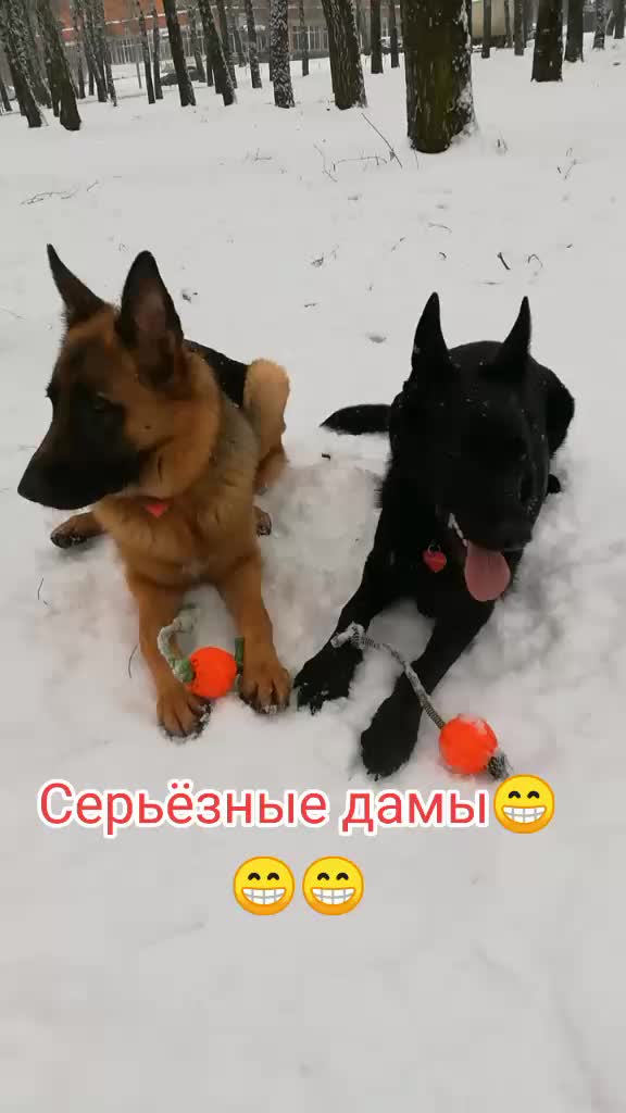 @Irinagerasimova