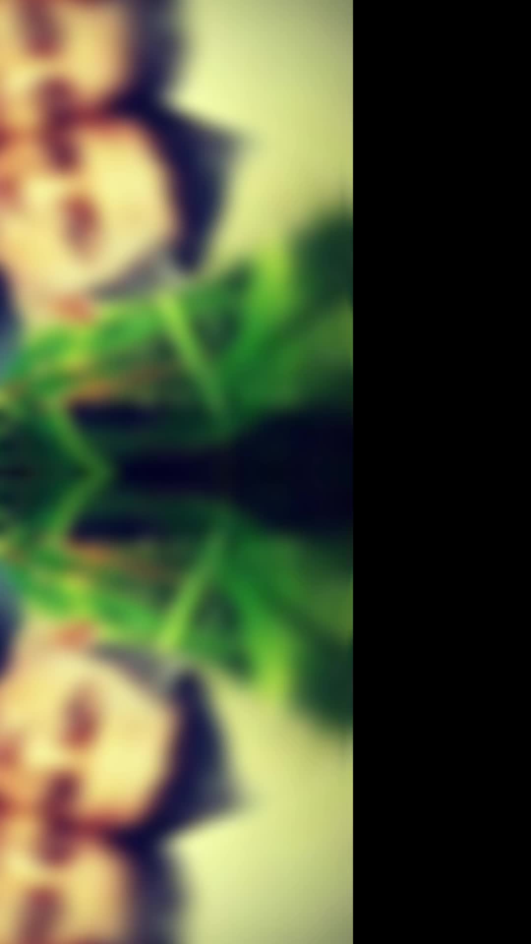 @𝕊 | ℝ 🐻🧿