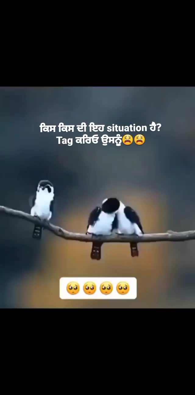 @rahulbhagat94
