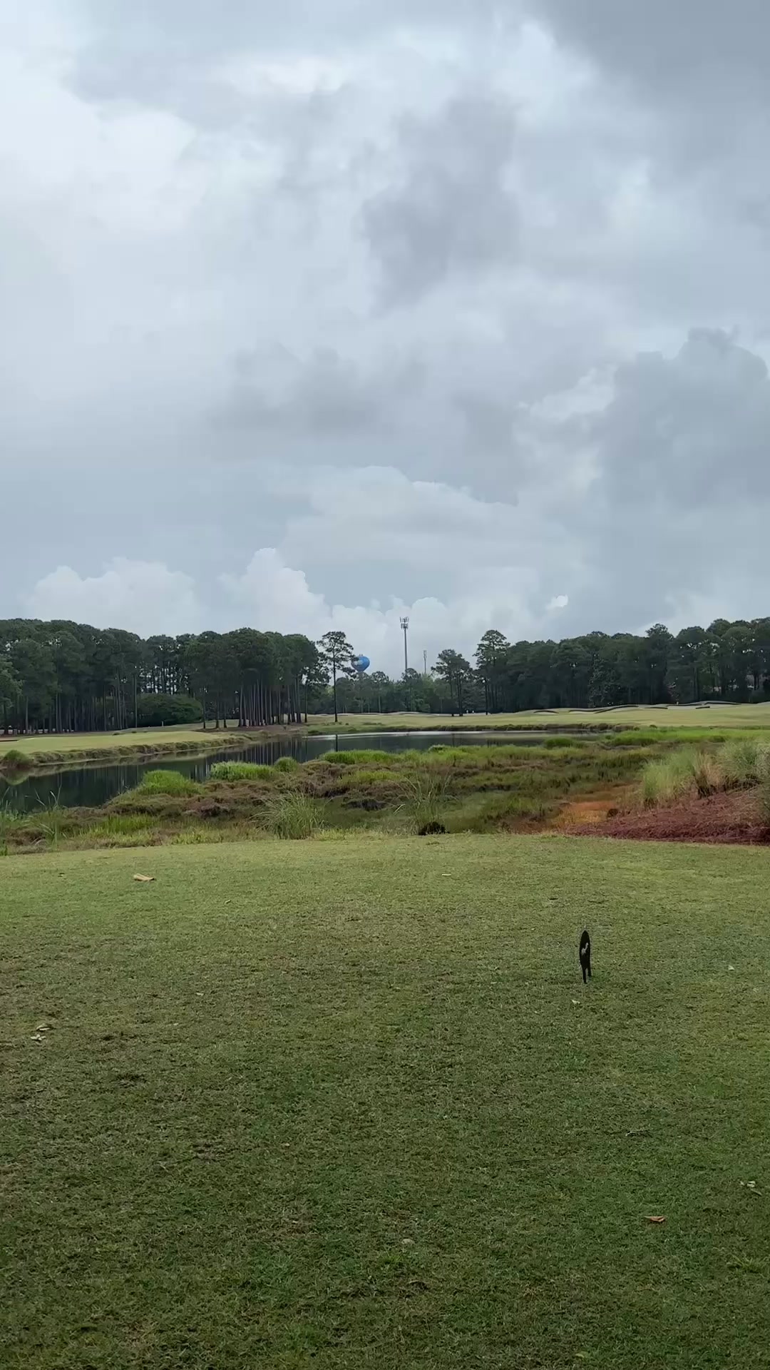 @Par Q