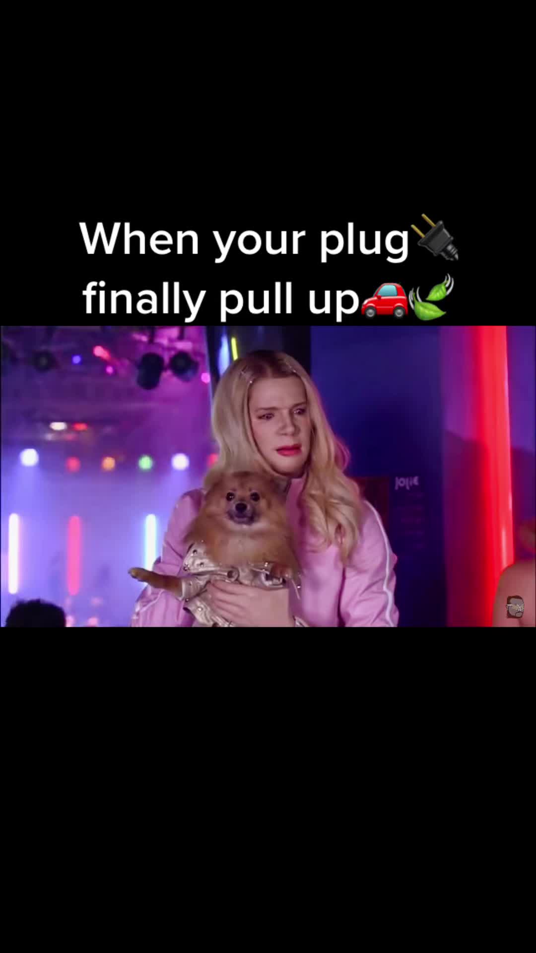 @scarfice2000
