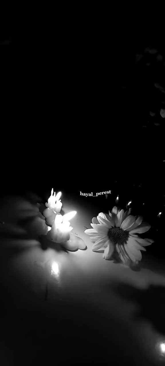 @🌙🌹