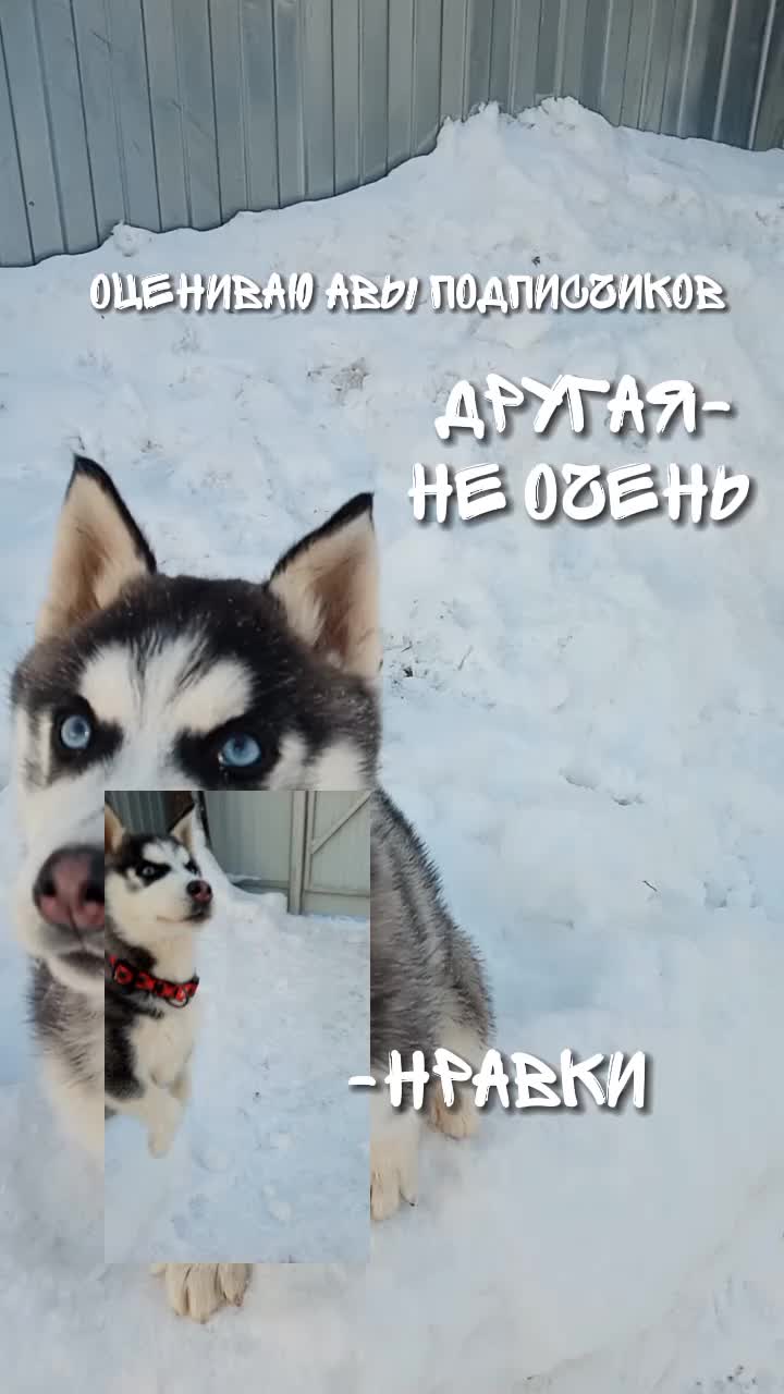 @просто Майа 💗