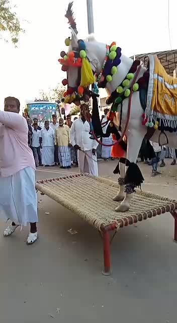@m.s.Bathusha 3021