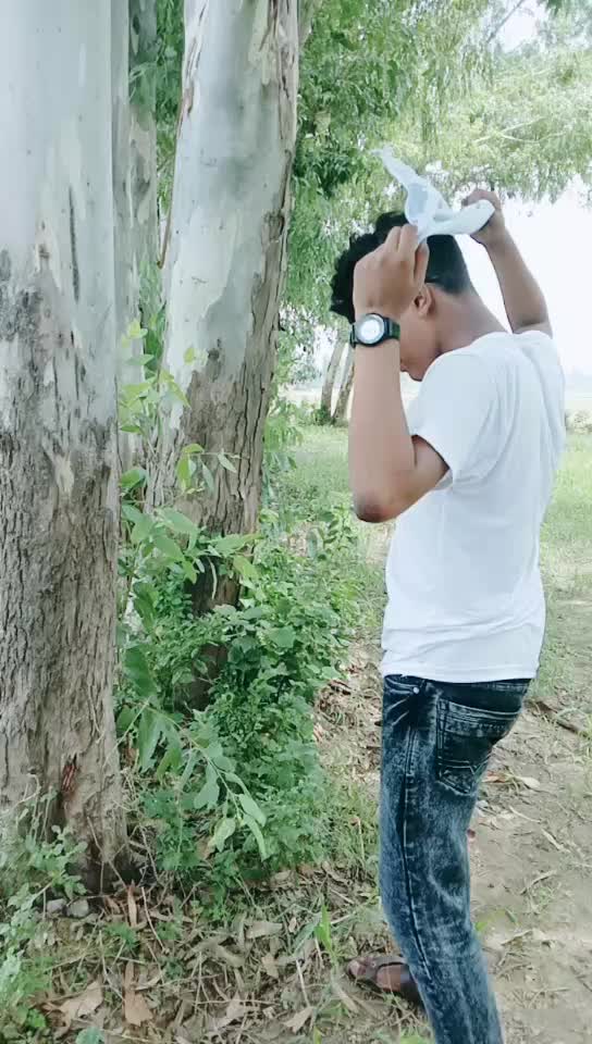 @the king of 3 💪