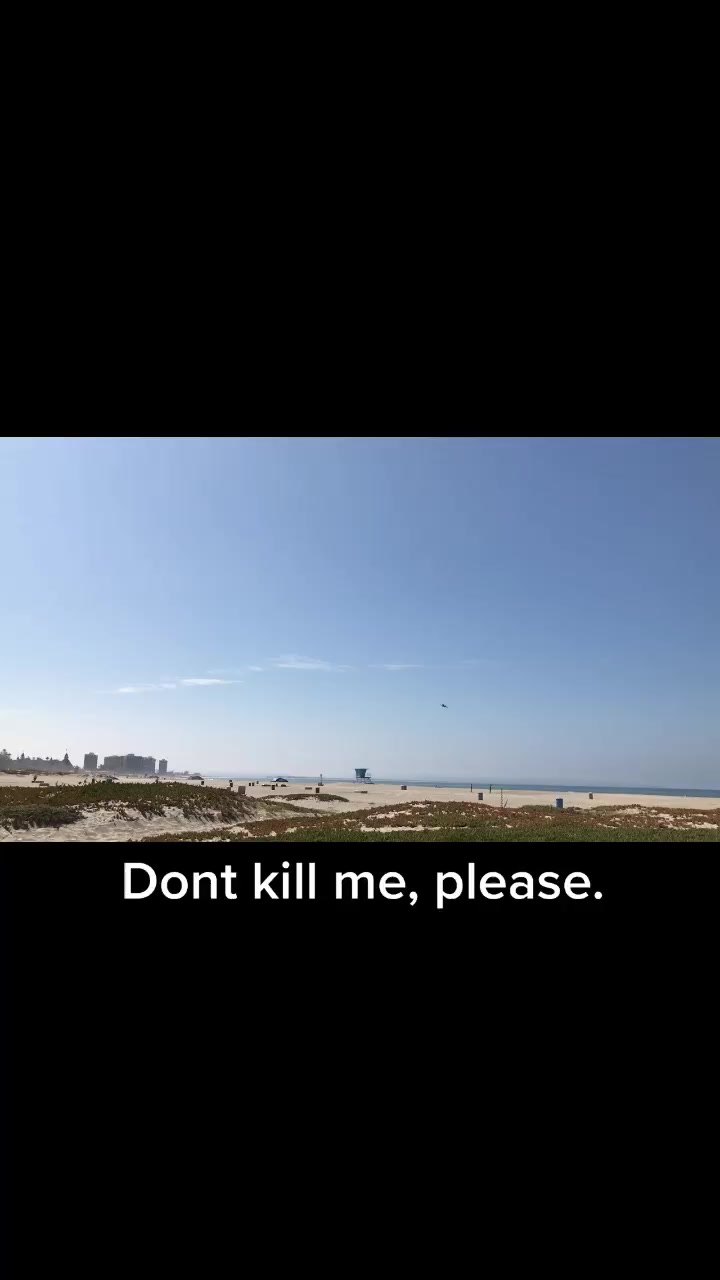 @user9834084186307