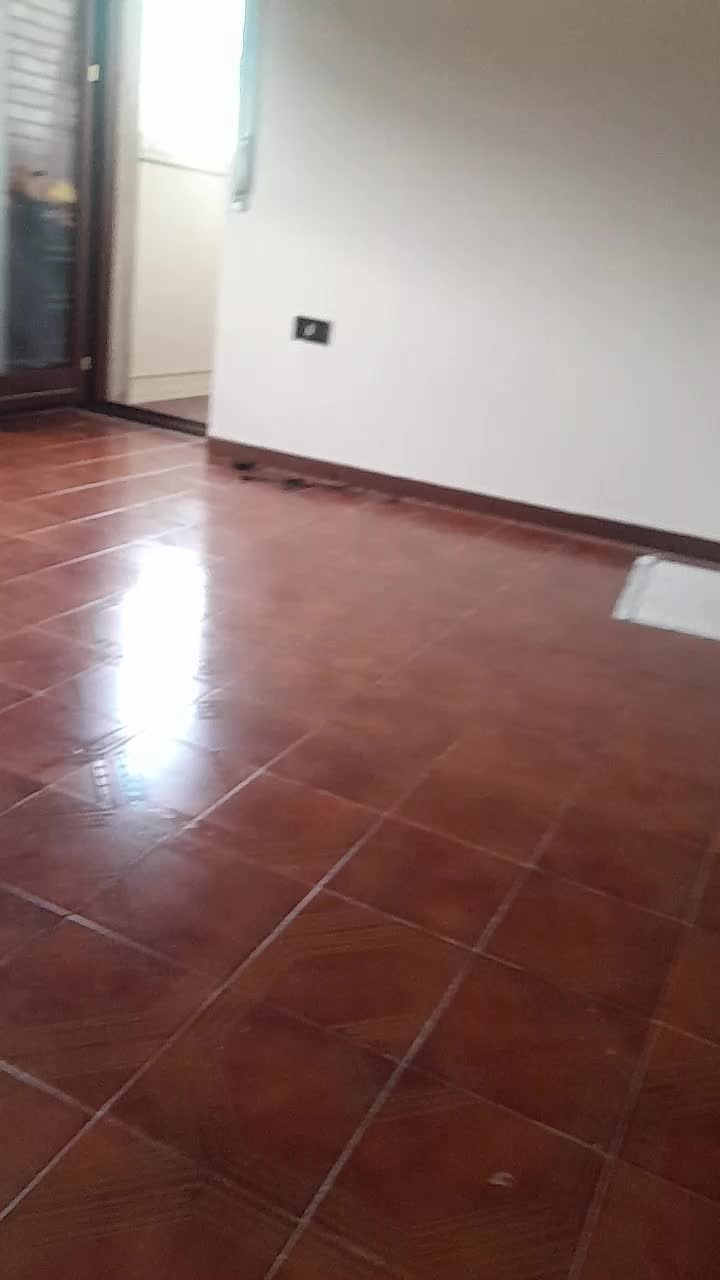 @Partenopeo1926🩵🐲