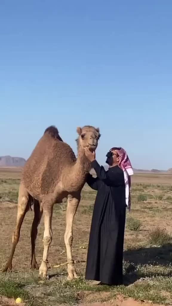 @خالد بن سويلم