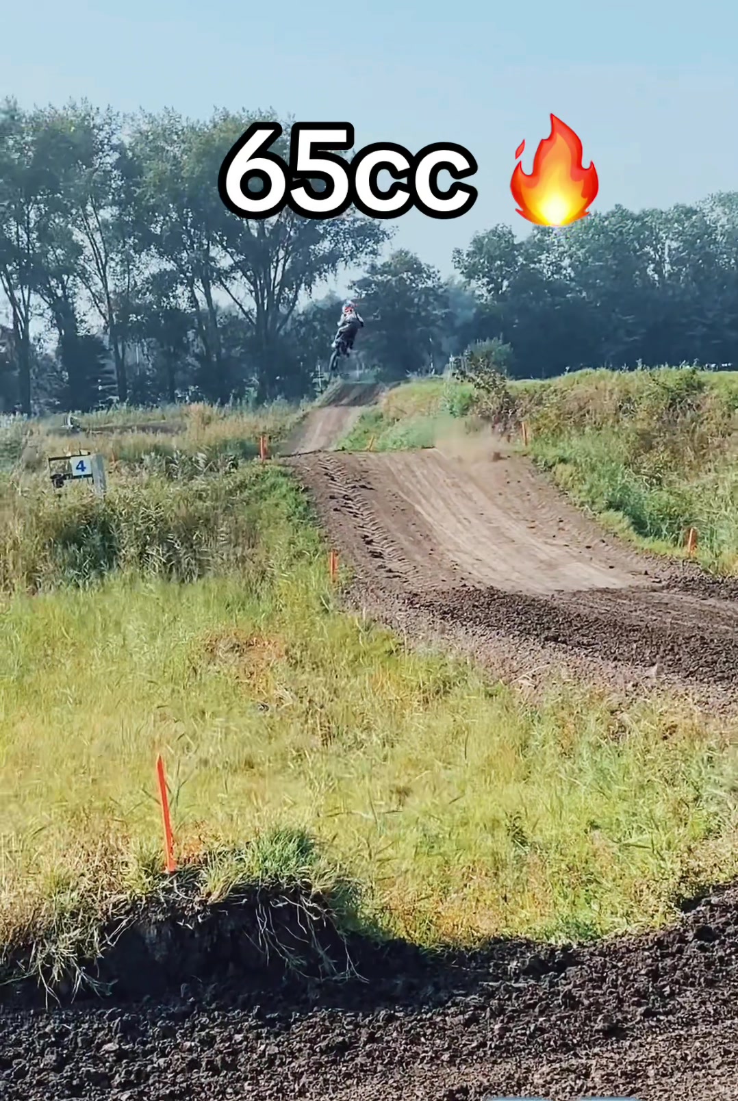 @Liljann141