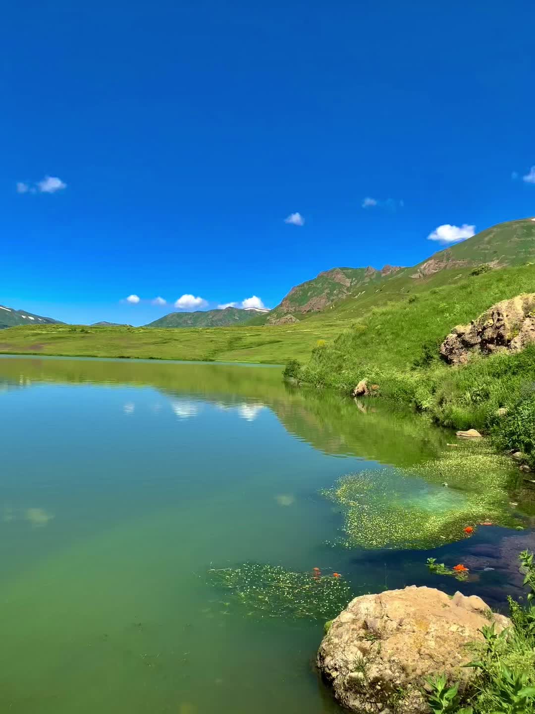 @vusal_676