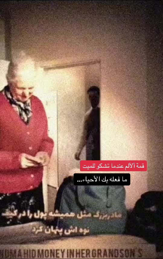 @زاهر علي