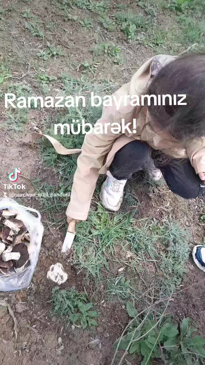 @naxcivan_qizil_pandora
