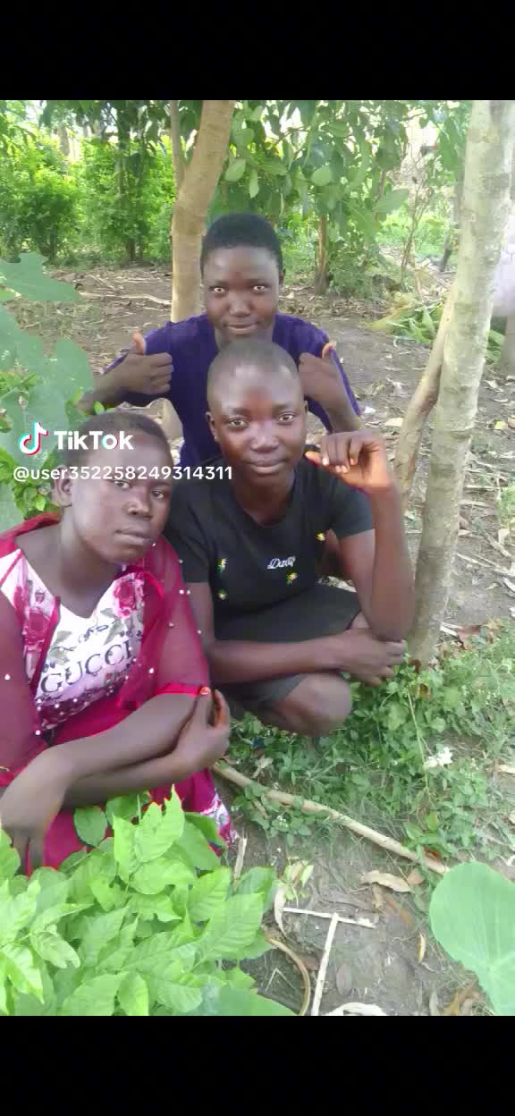 @agaci kundu