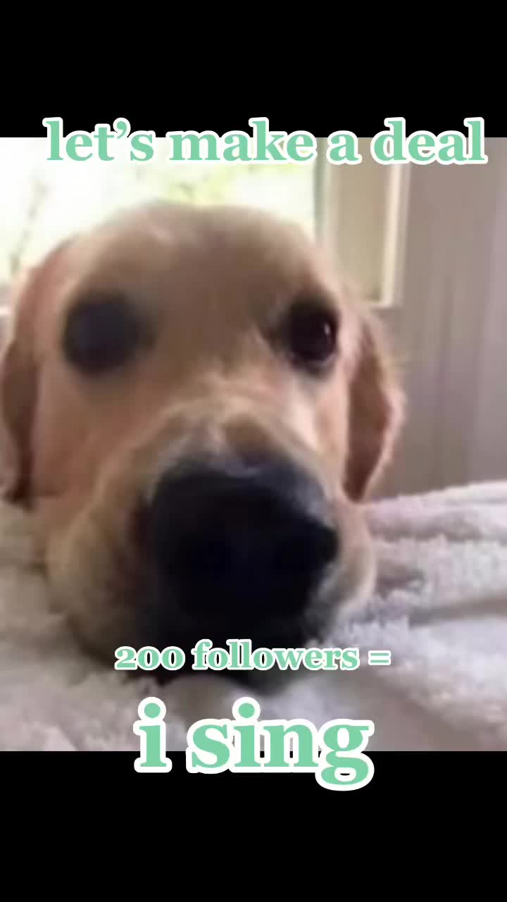 @Plantleadnoob