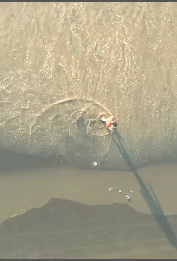 @๐๐ฅOye๐ฅit's๐ฅsib๐ฅ๐