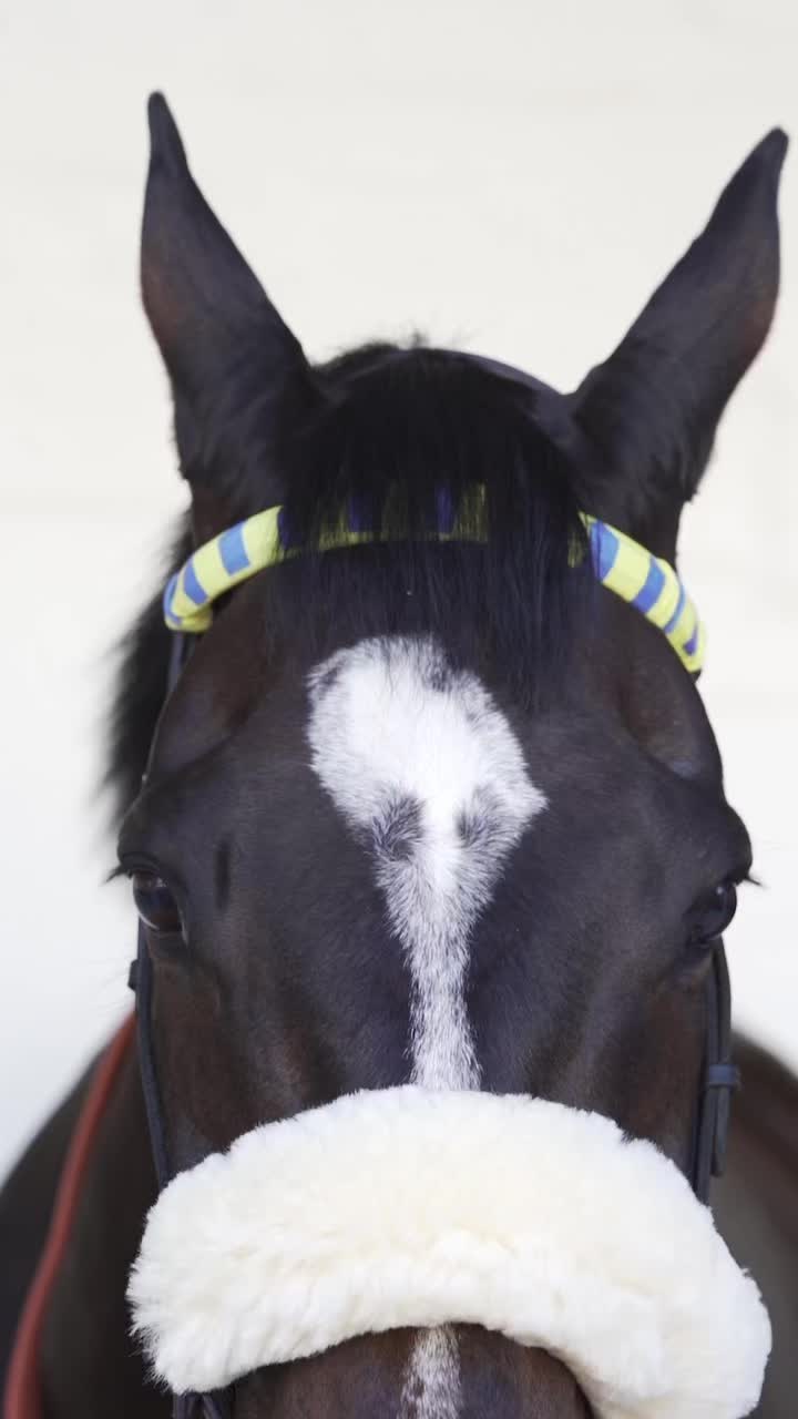 @Snaith Racing
