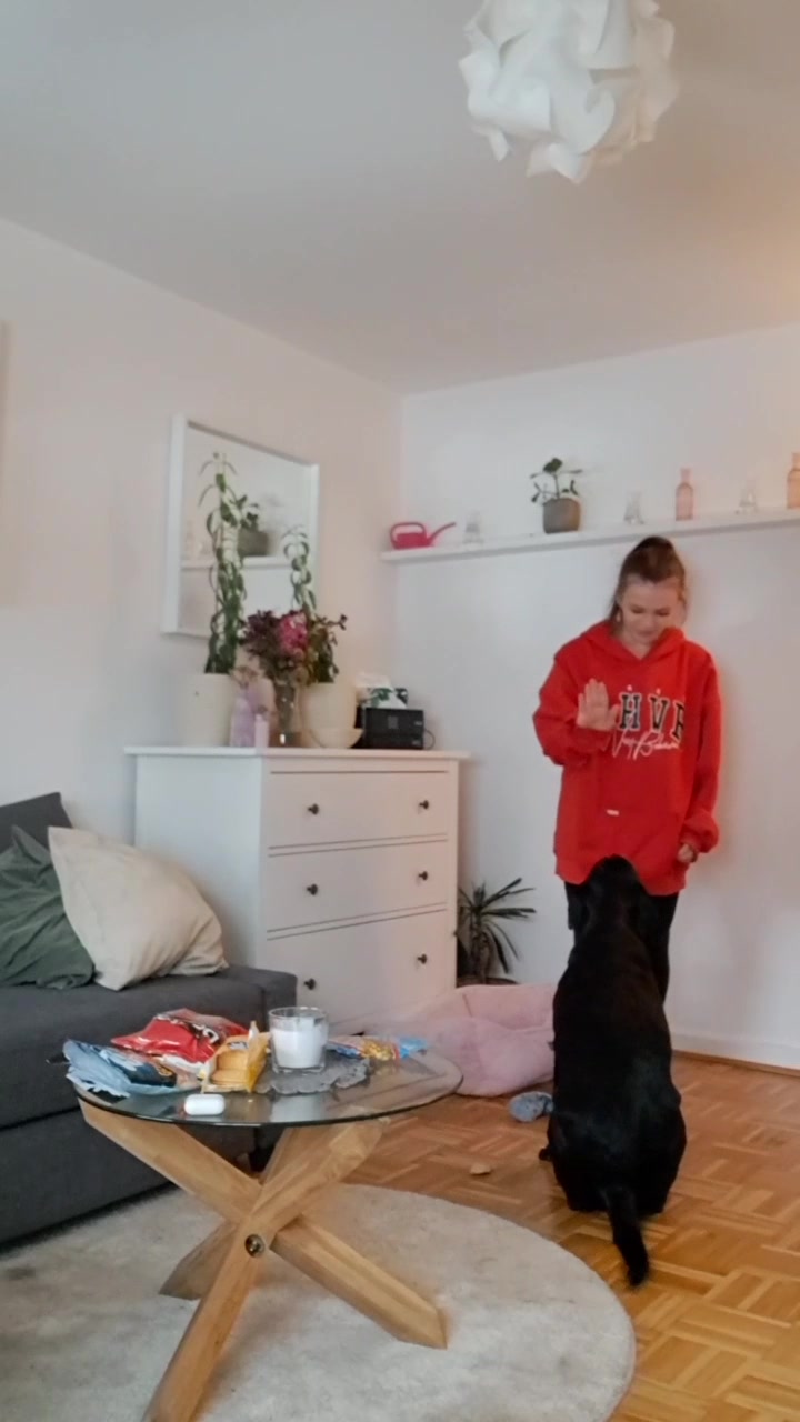 @lina.cheer