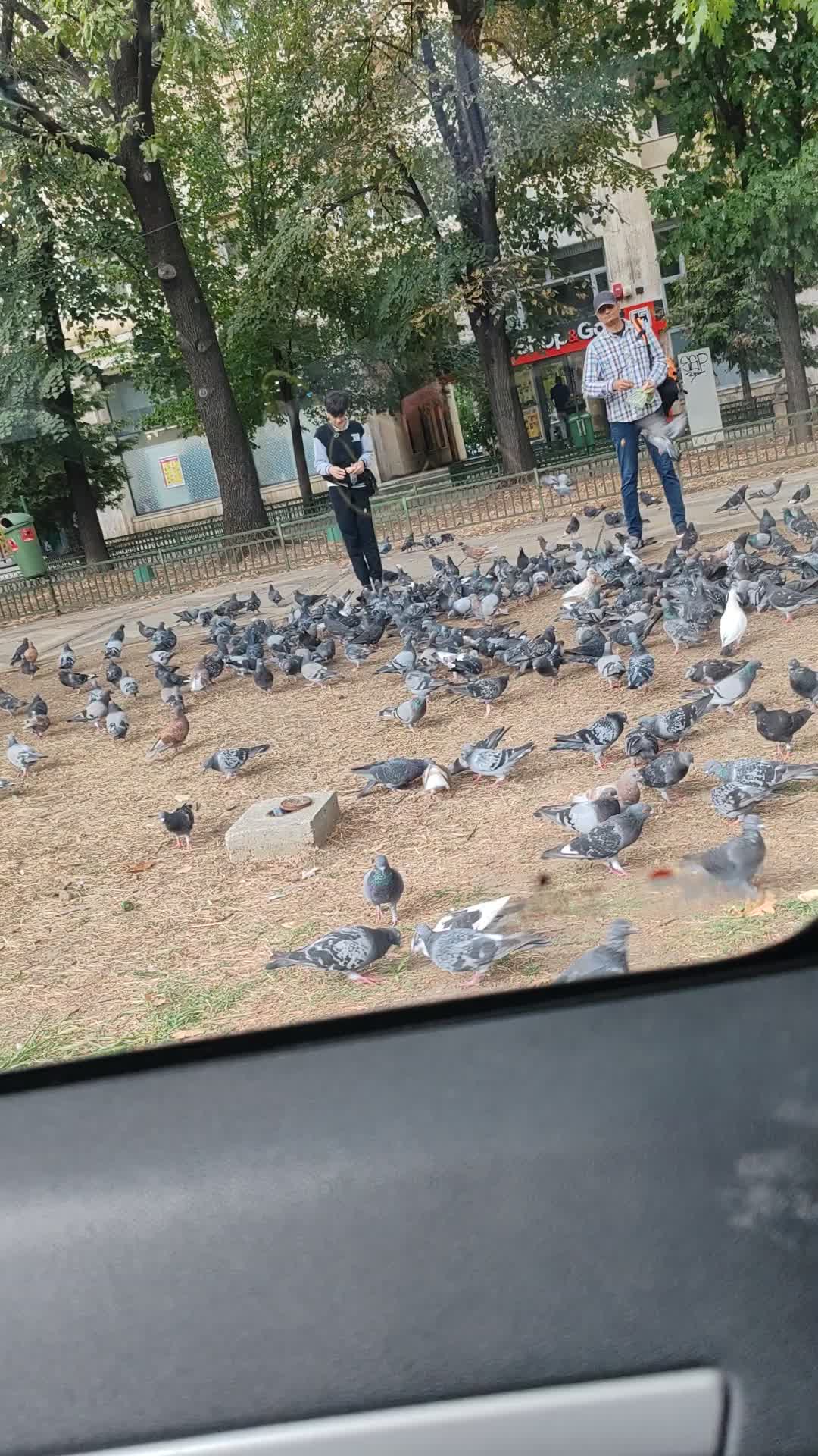 @Cătălin Baboi