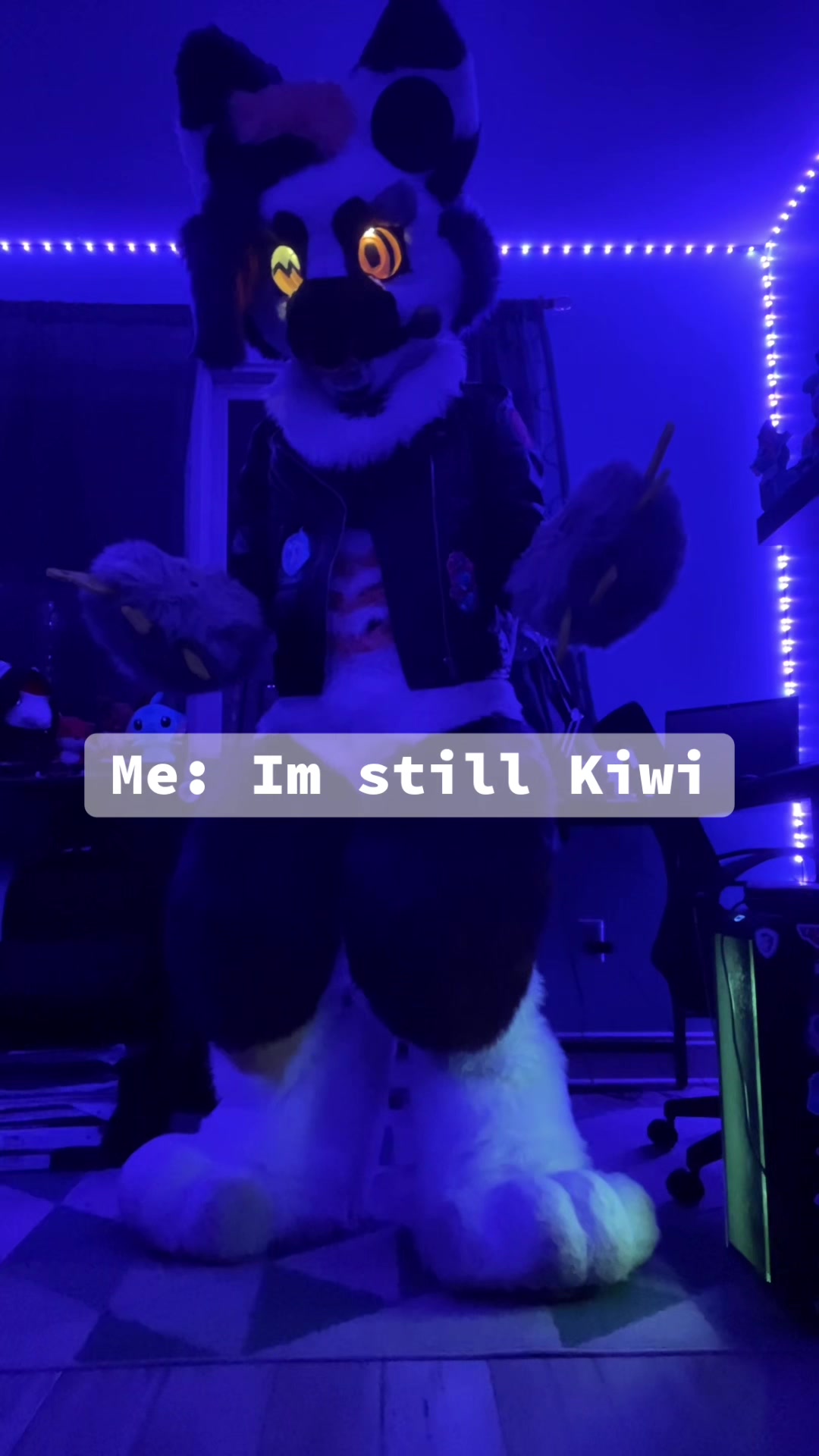 @⭐️KiwiFurSure⭐️