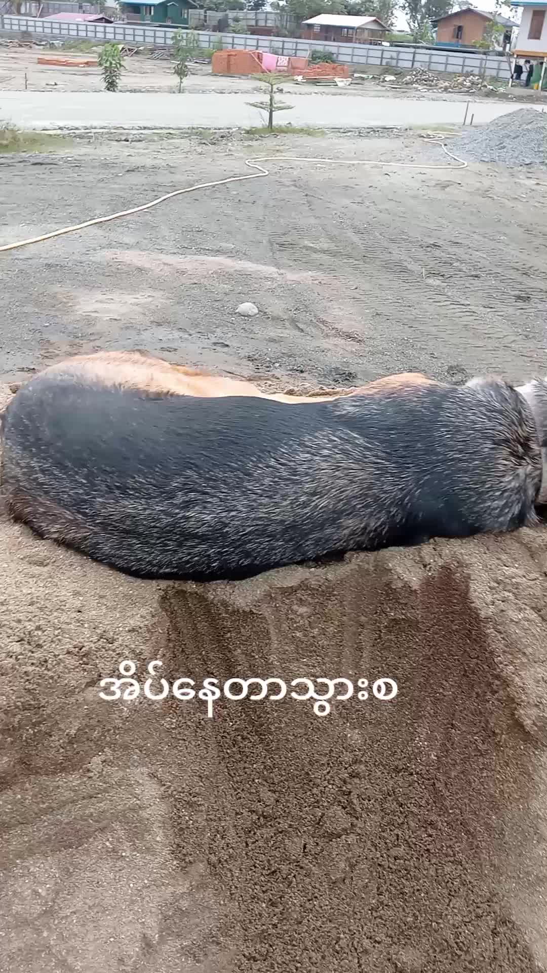 @Chan Myae✅ရေဦးသား👑👑👑