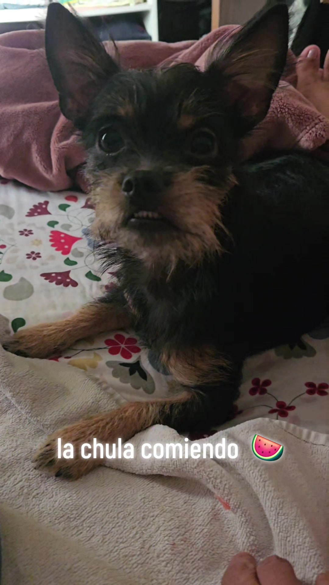 @la_mal&eacute;fica😈