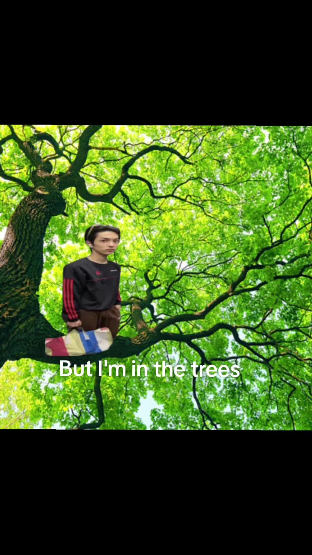 @hueningkaisfries⁷