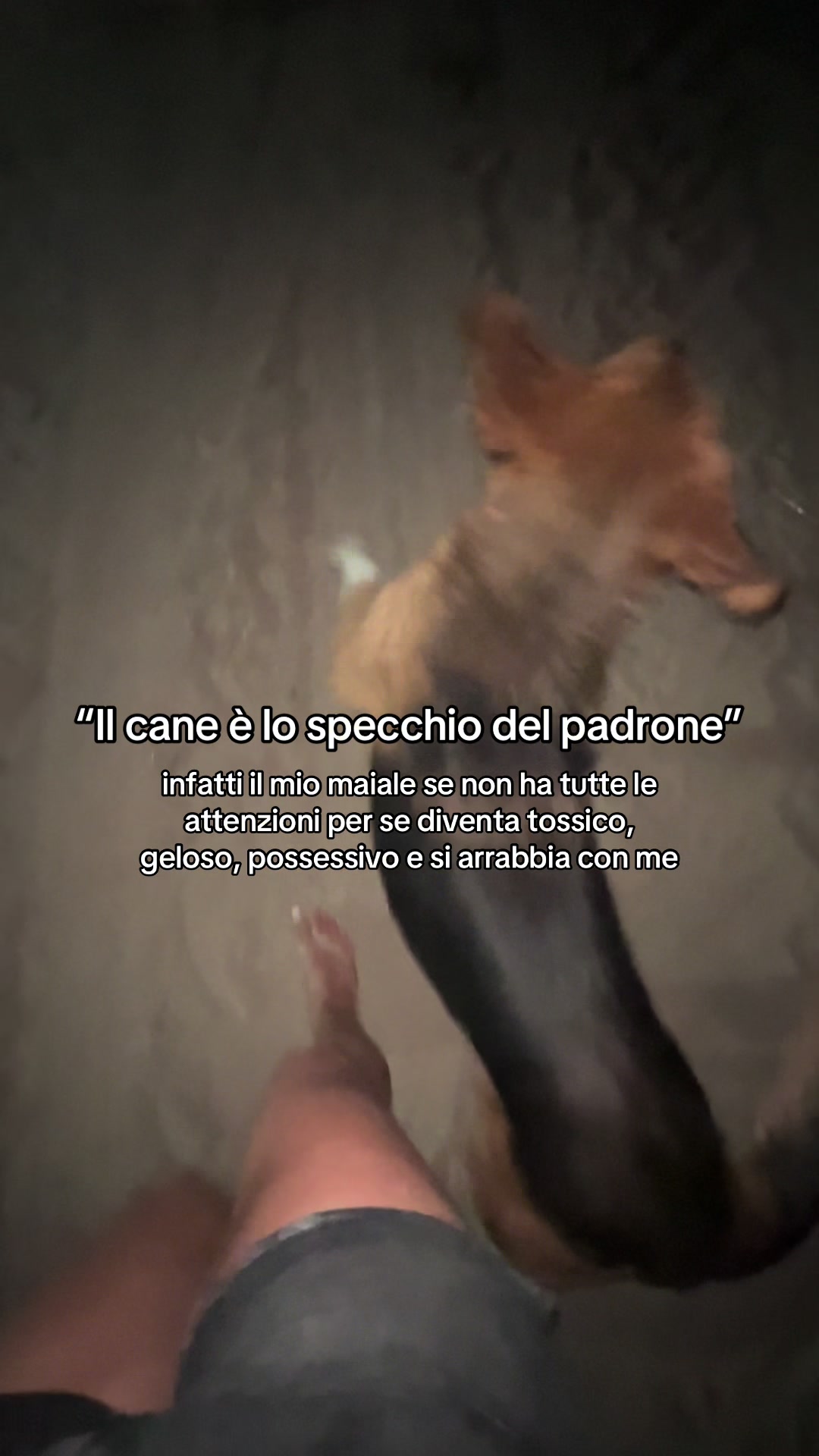@Giulia Sandor