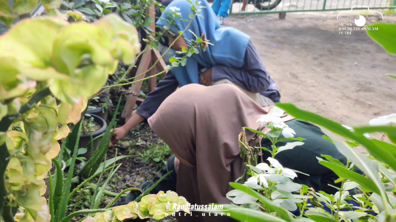 @RaudlatussalamPutri_Utara