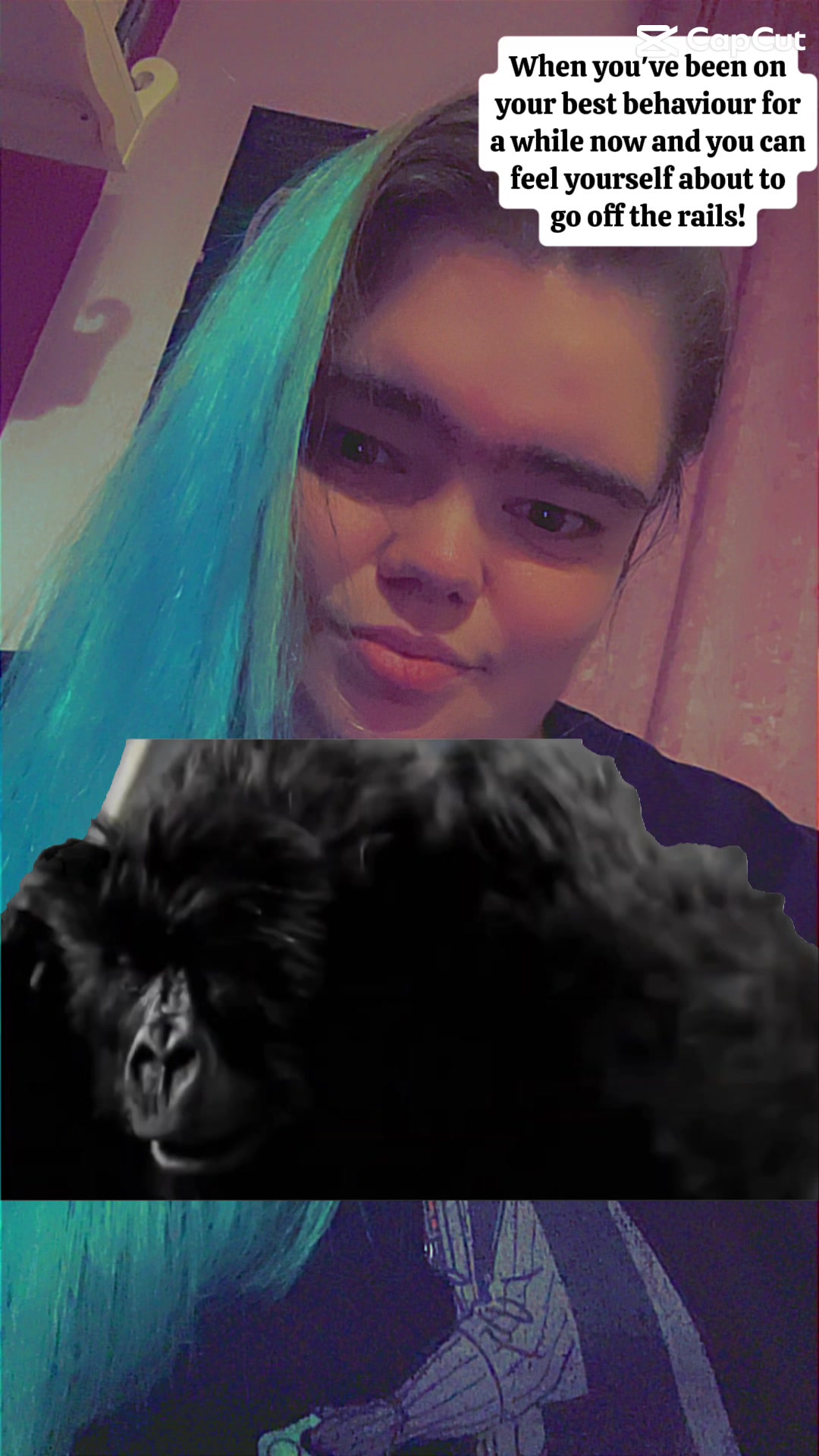 @shadowspiritwolf