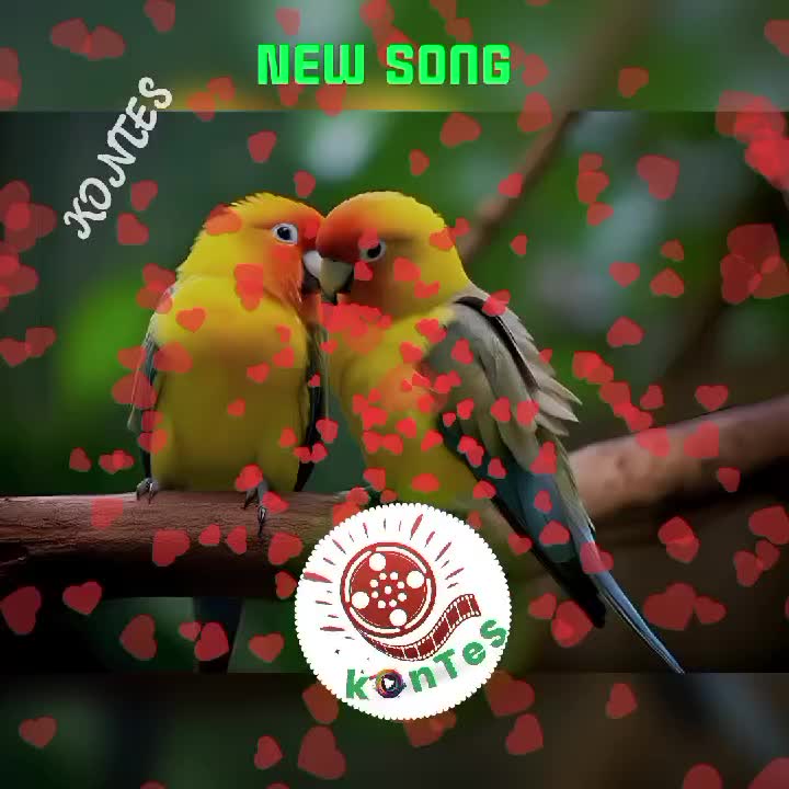 @kOnTeS MeLa